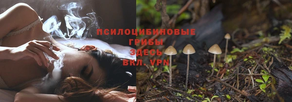 молекула духа Навашино