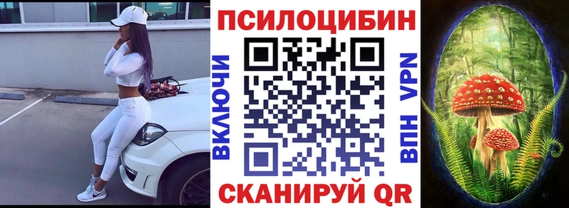 ОМГ ОМГ маркетплейс Чернушка Галлюциногенные грибы GOLDEN TEACHER